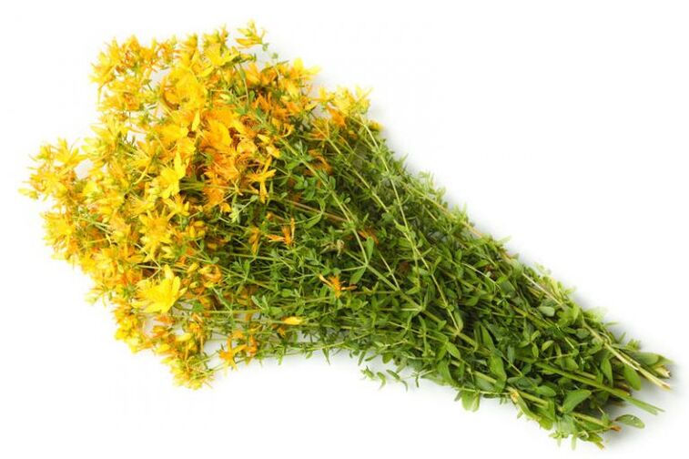 San Juan grass is used in the treatment of osteoarthritis